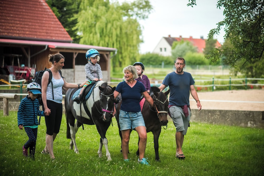 Horseback riding