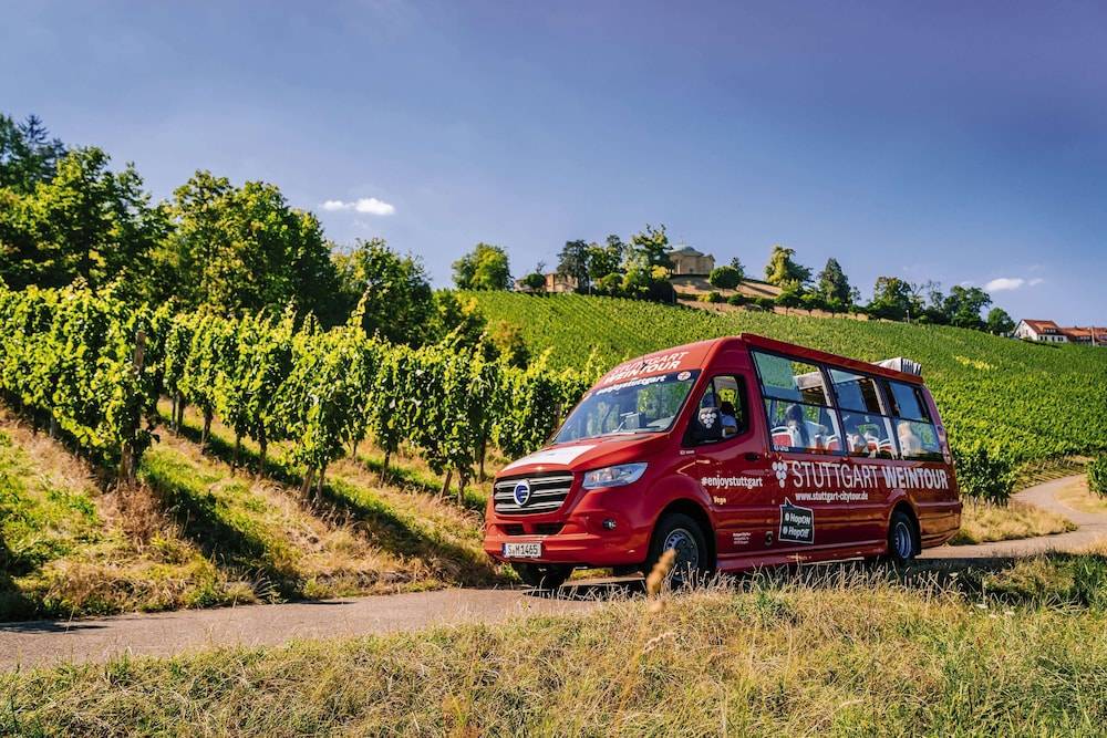 Vineyard