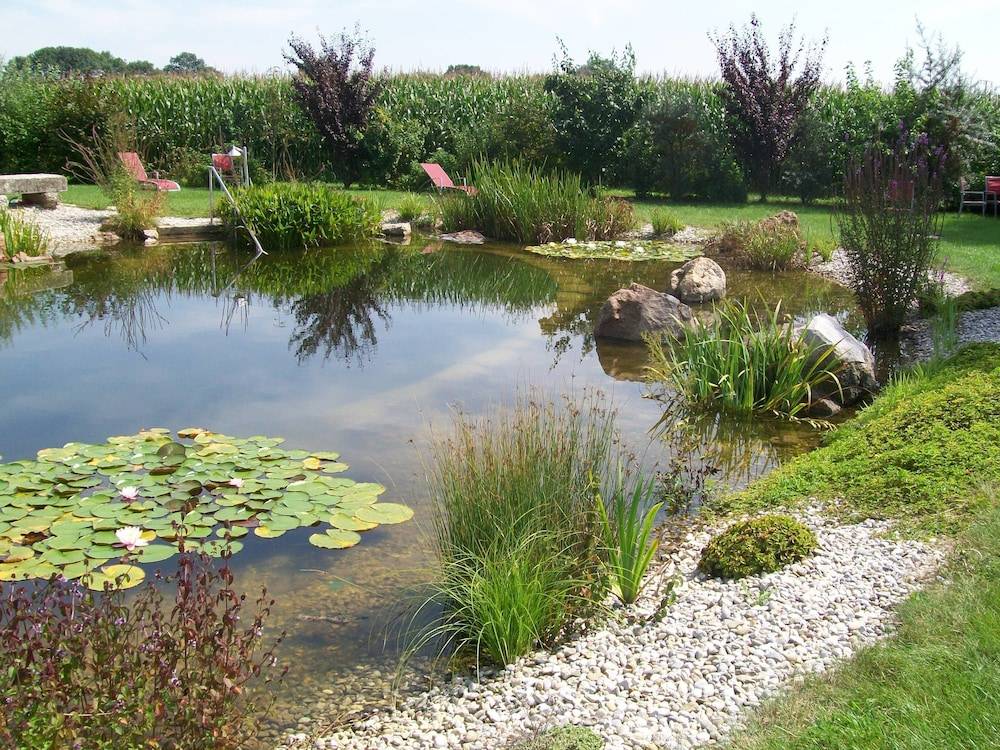 Natural pool