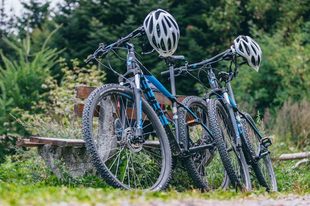 Mountainbike