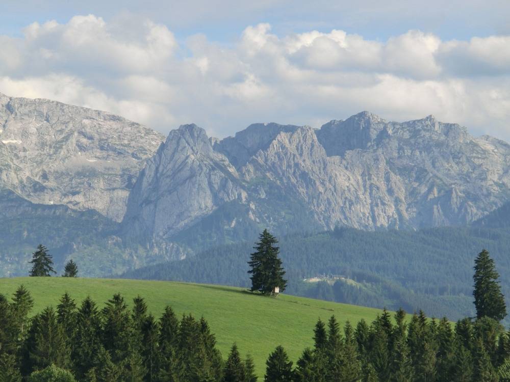 View from property