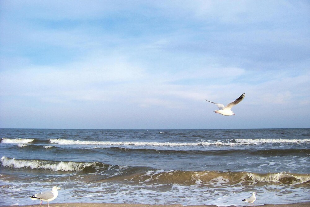 Water view