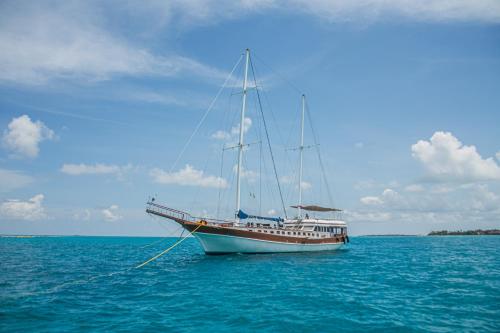 Akoya Pearl