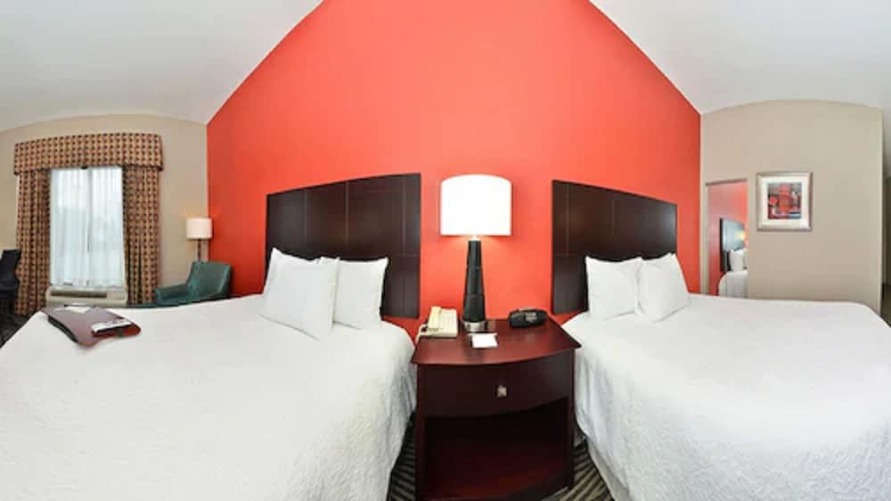 Hampton Inn Laplace - photo 4