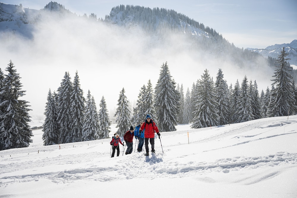 Snowshoeing