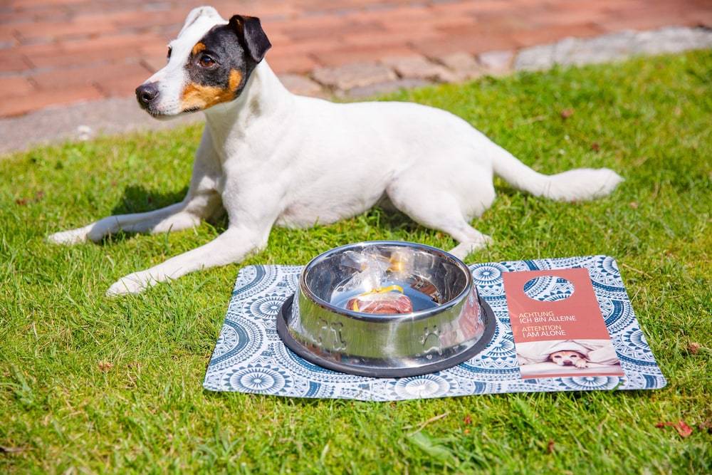 Pet-friendly