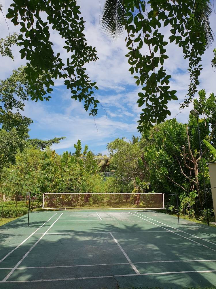 Tennis court