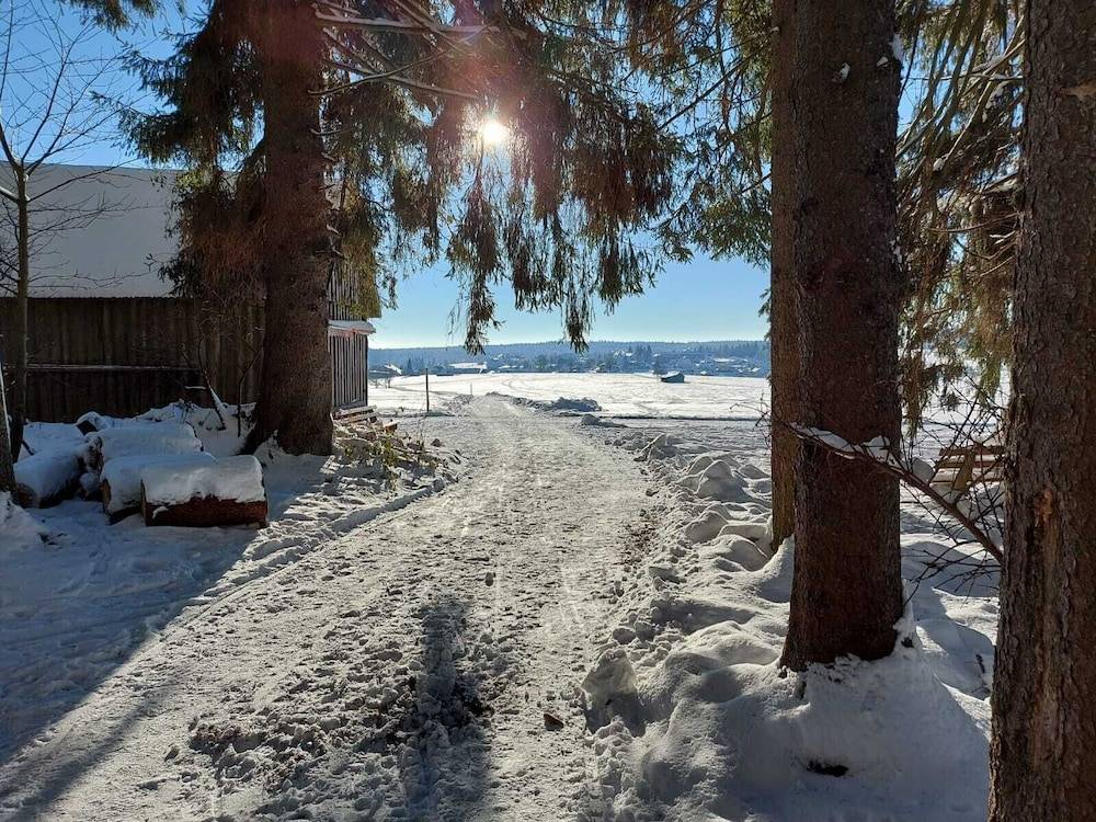 Snowshoeing