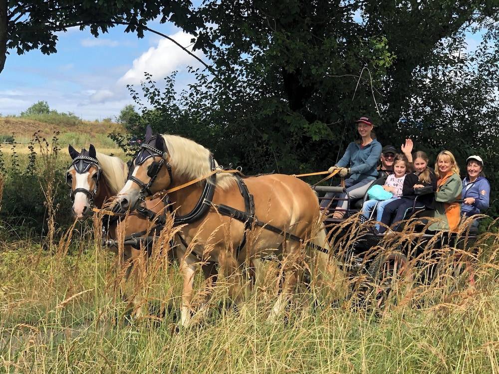 Horseback riding