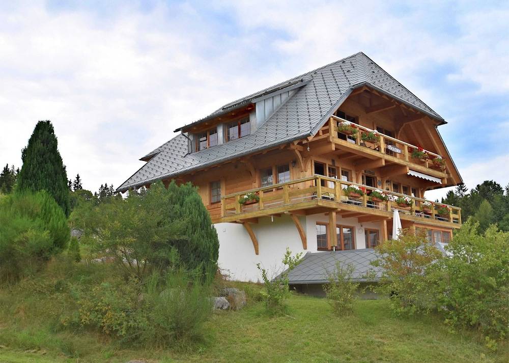 Apartment in Dachsberg near Feldberg Ski Area