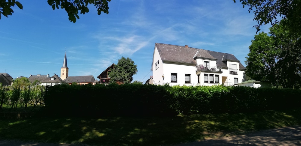 Apartment in Trittenheim With Terrace and Garden
