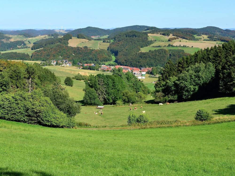 View from property