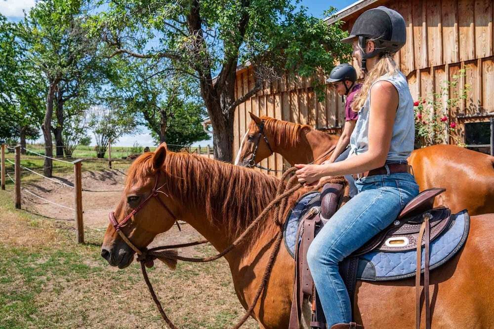 Horseback riding
