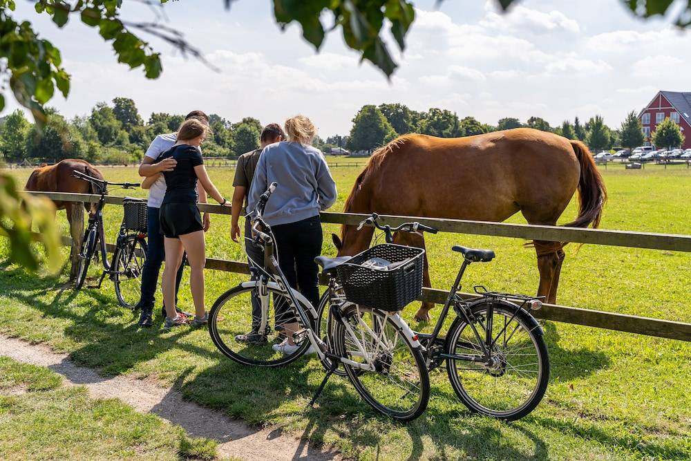 Horseback riding