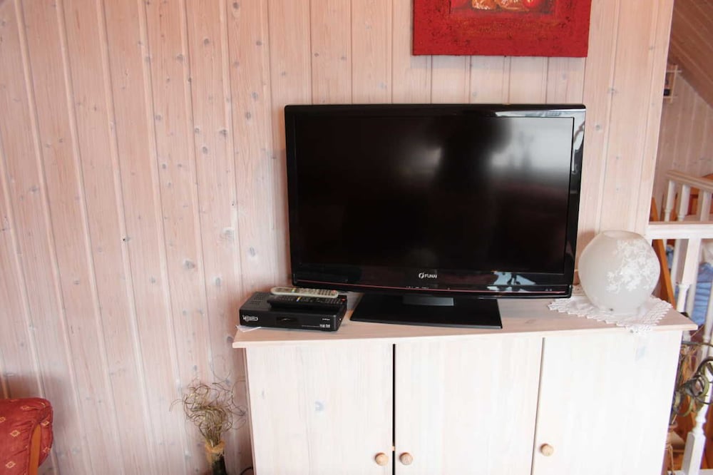 Television