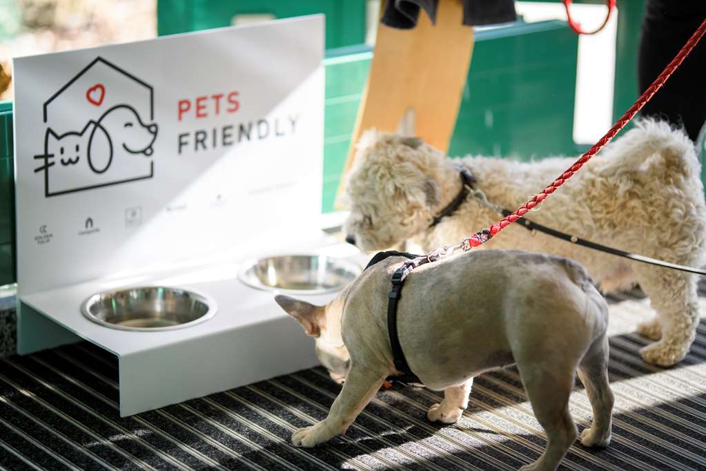 pets friendly for an additional charge