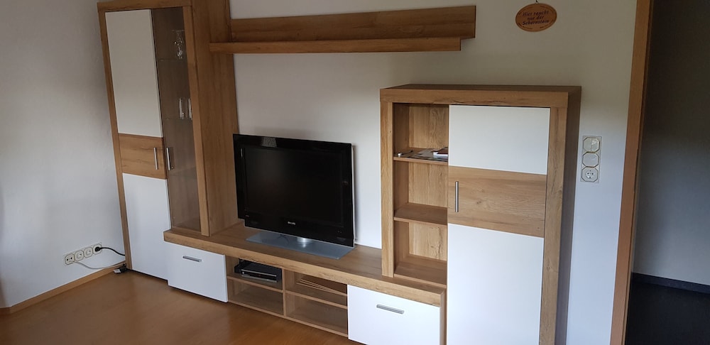 Television
