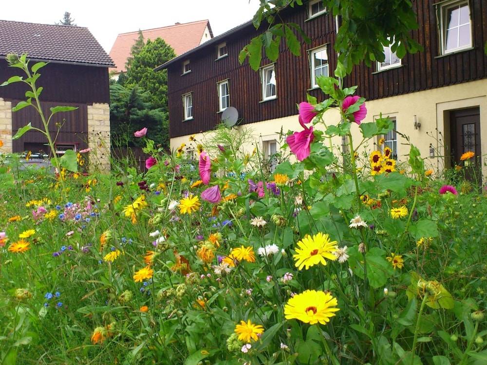 Moderne Ferienwohnung in Weissig Sachsen mit Garten