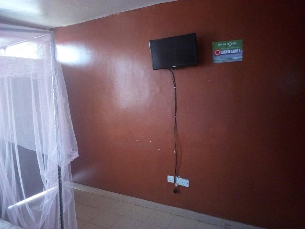 Television