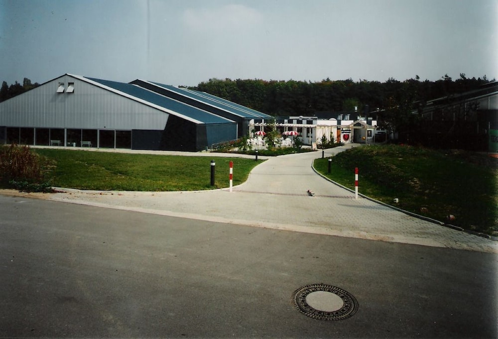 Primary image
