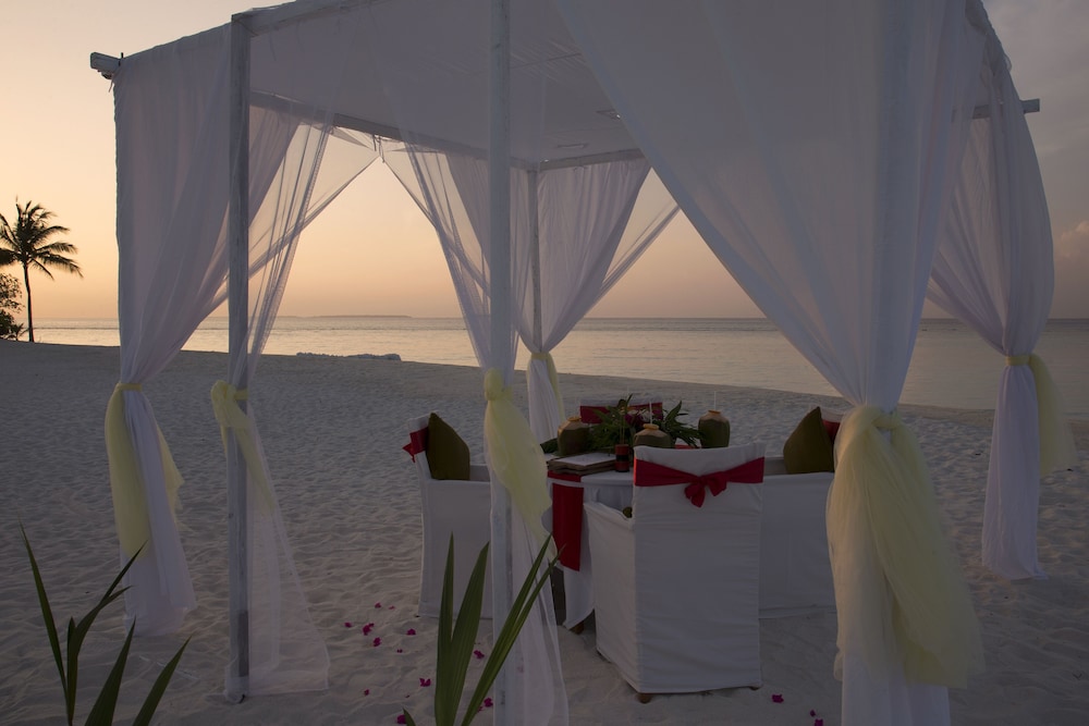 Outdoor wedding area