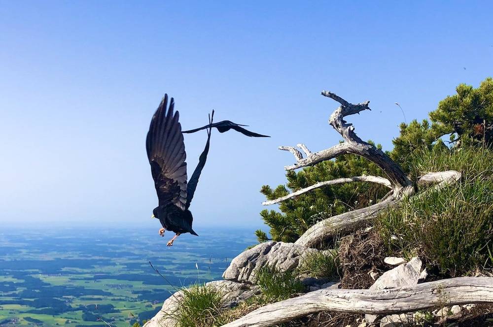Hiking