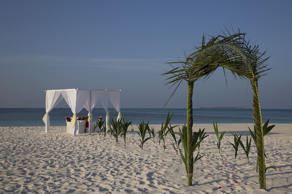 Outdoor wedding area