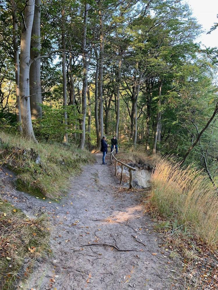 Hiking