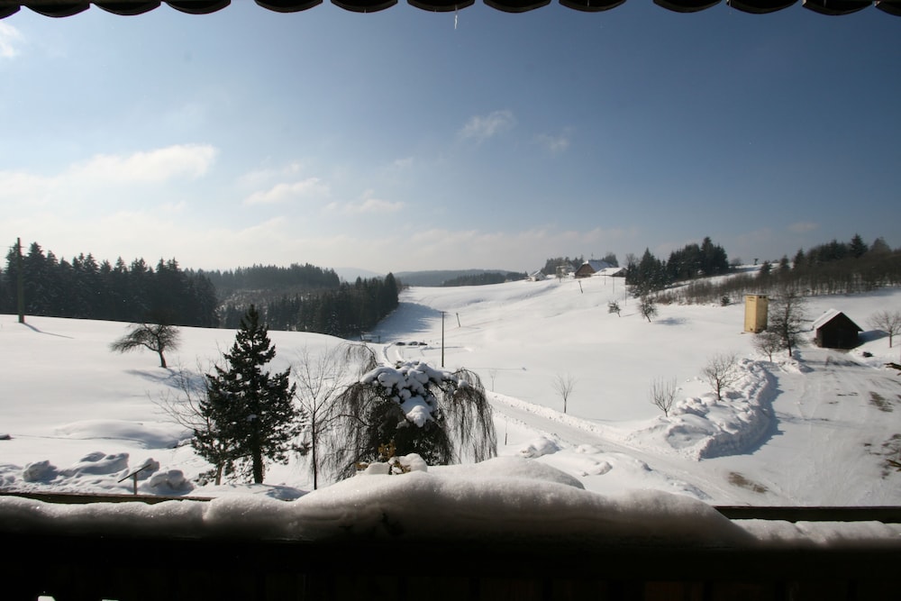 Skiing