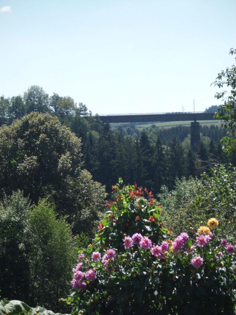 General view