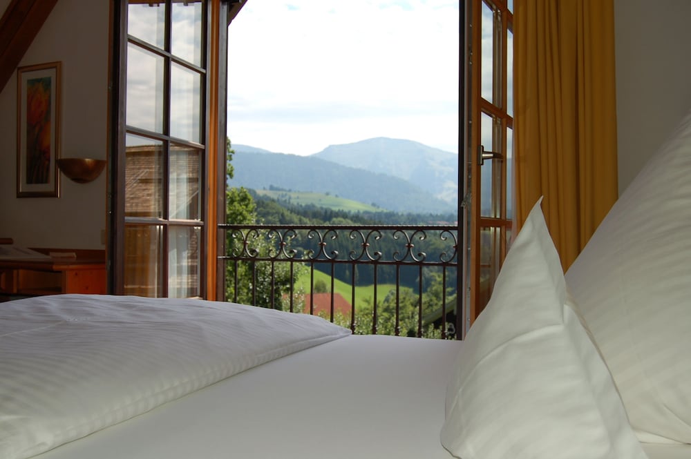 View from room