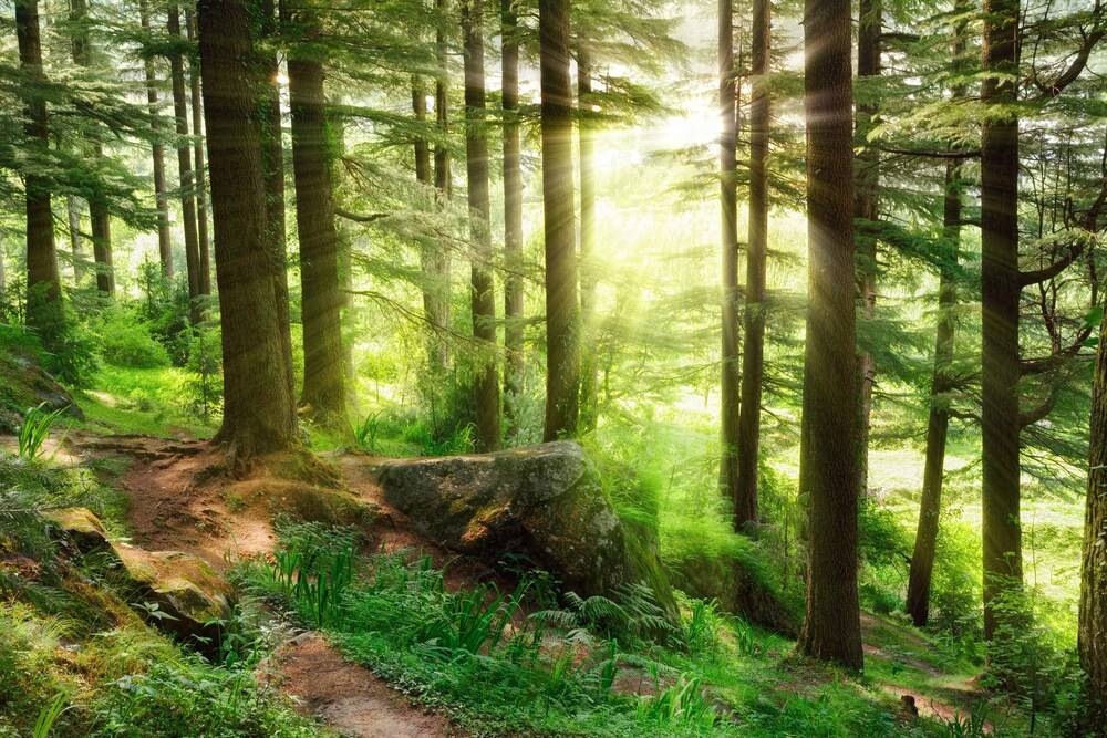 Hiking