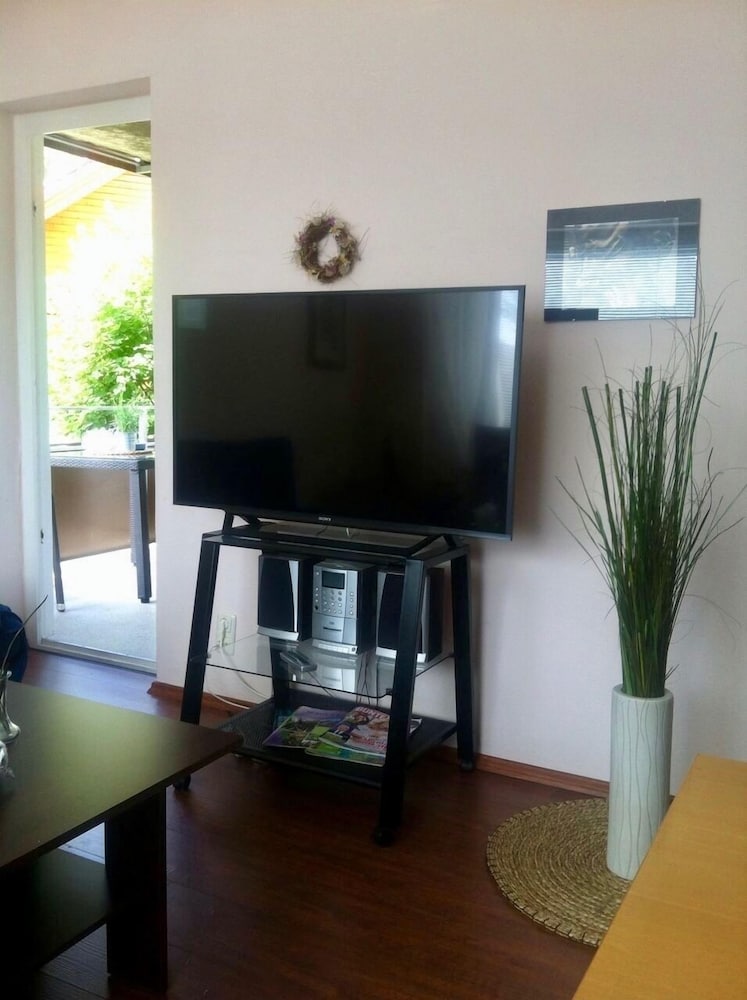 Television