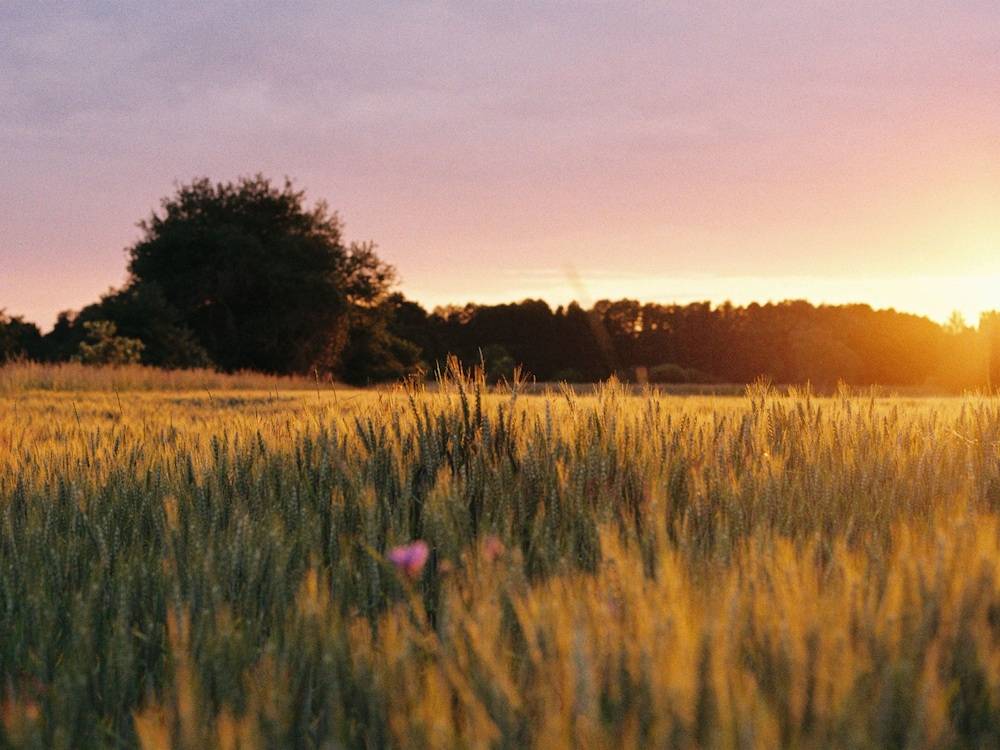 Land view from property