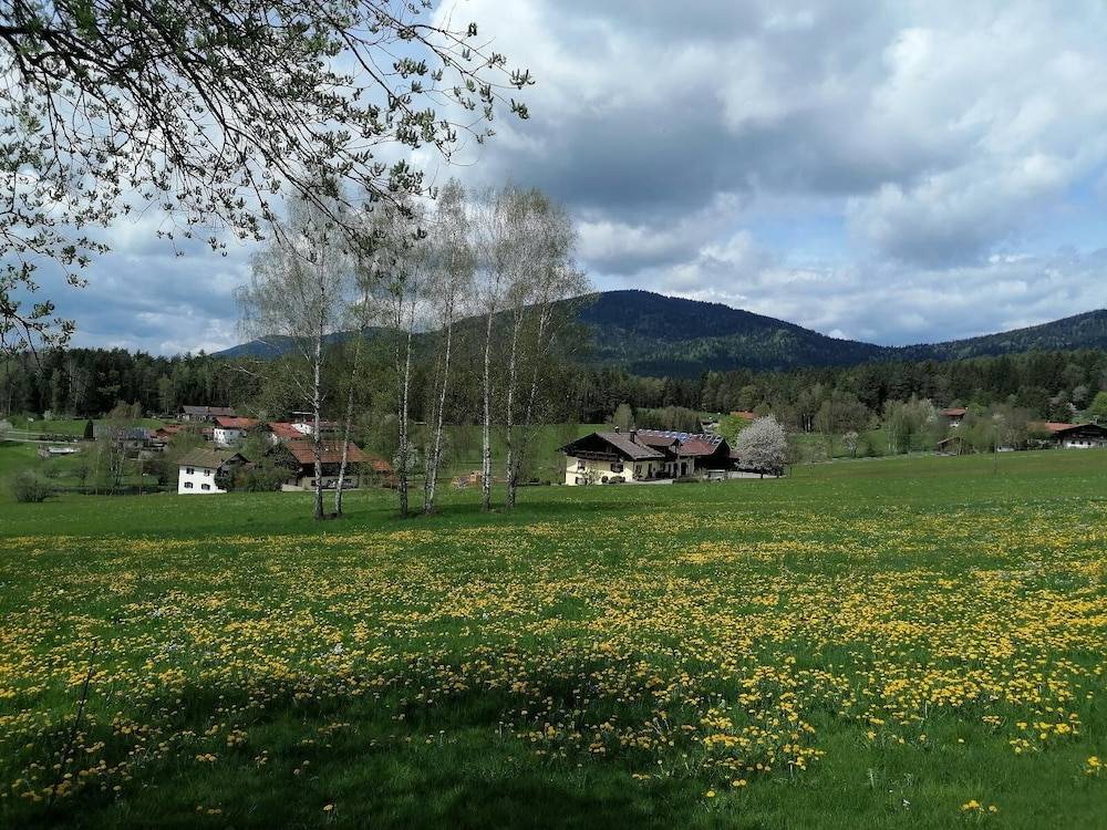 Land view from property