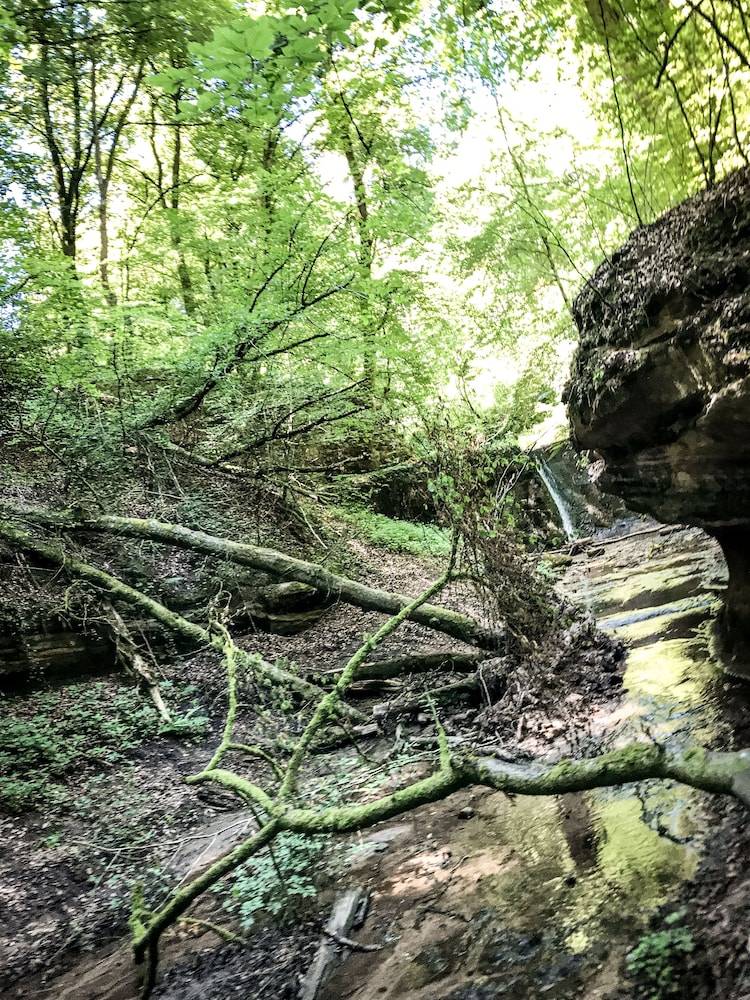 Hiking