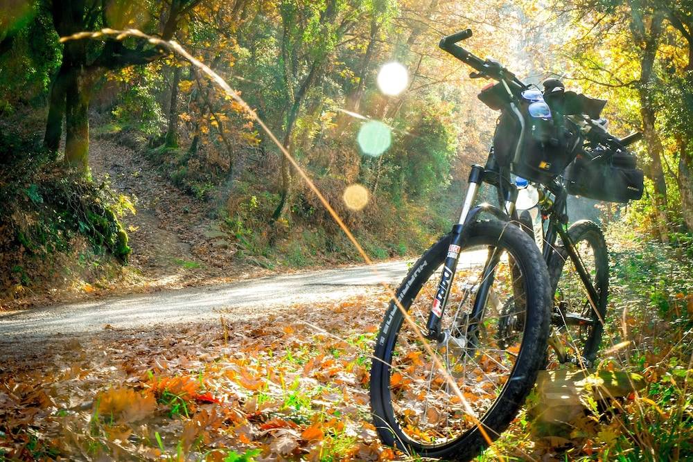 Bicycling