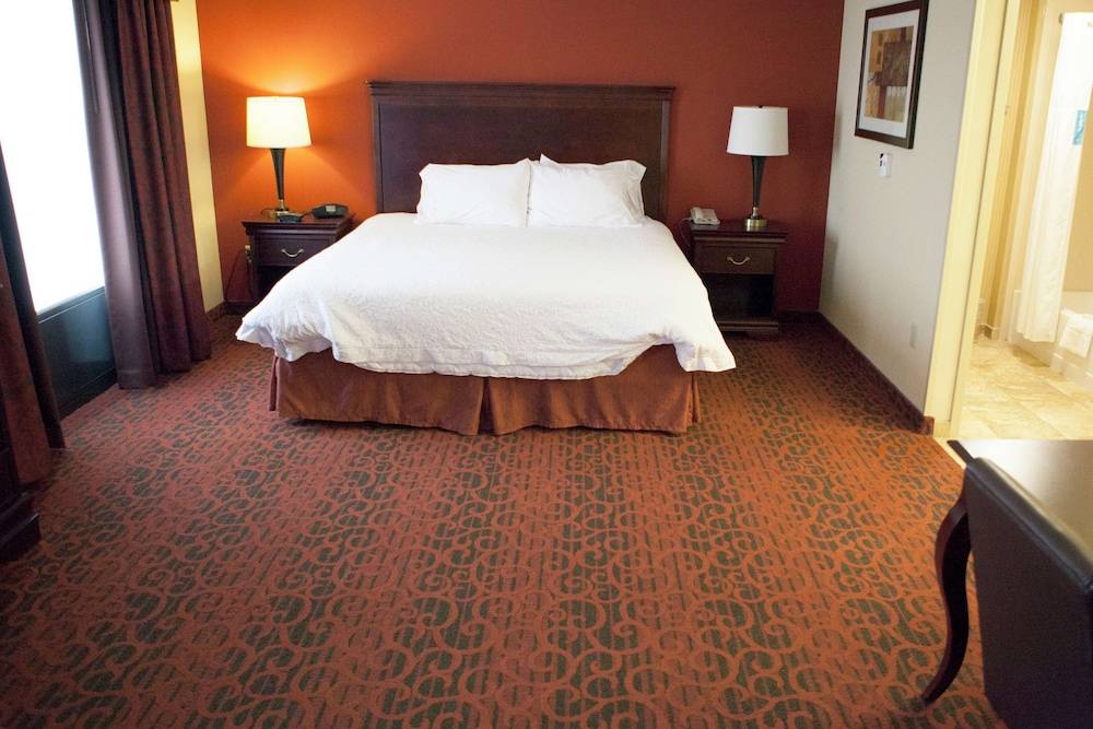Hampton Inn Rochester Webster - photo 5