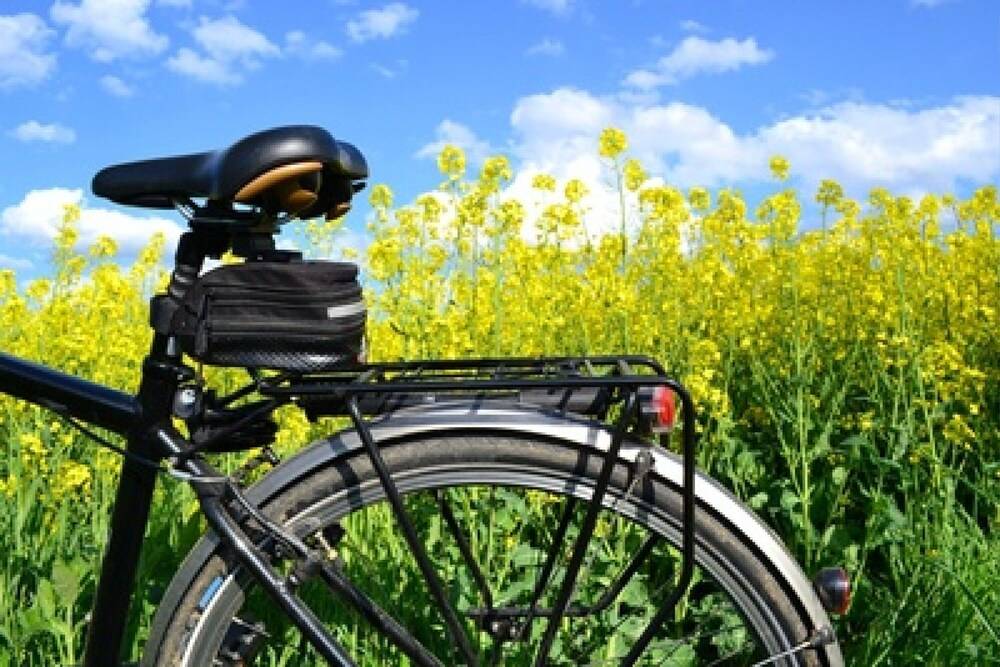 Bicycling