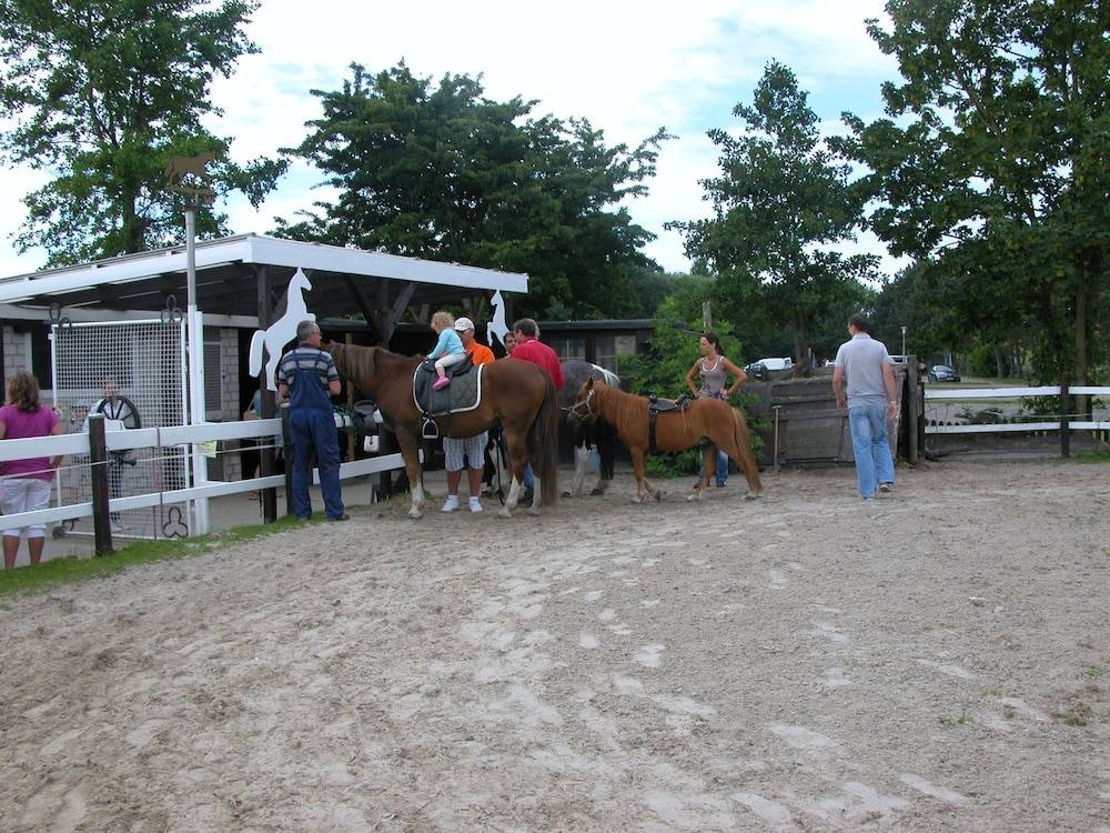 Children's activities