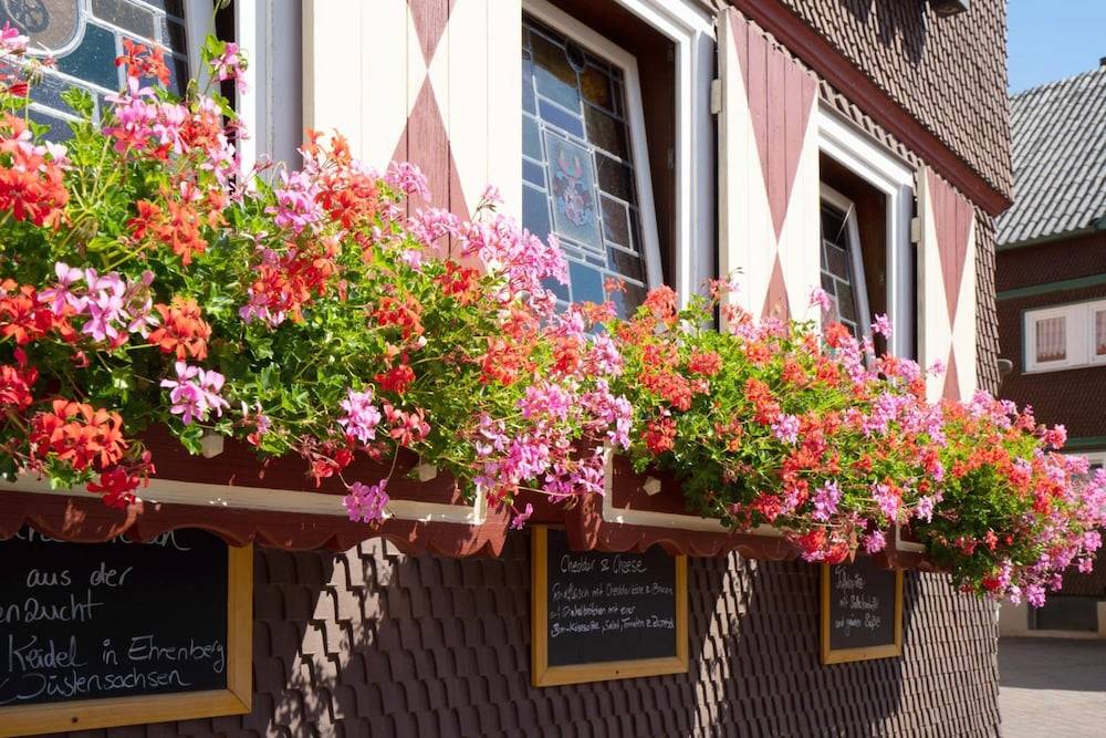 Landgasthof zum Stern