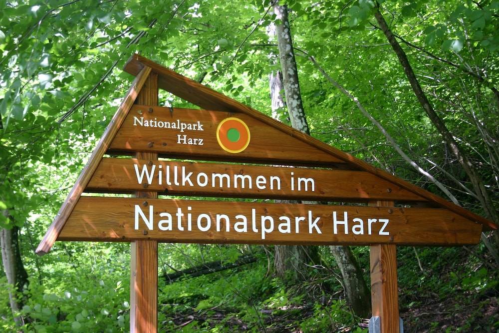 Hiking