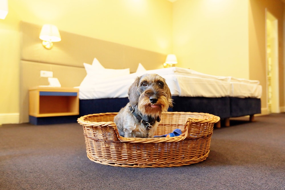 Pet-friendly