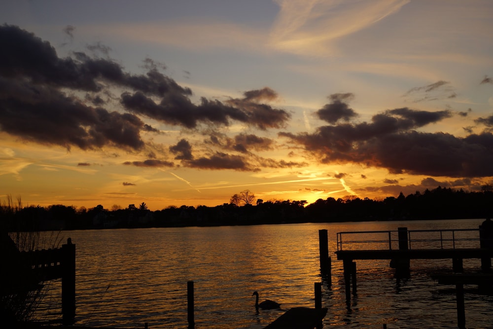 Lake view