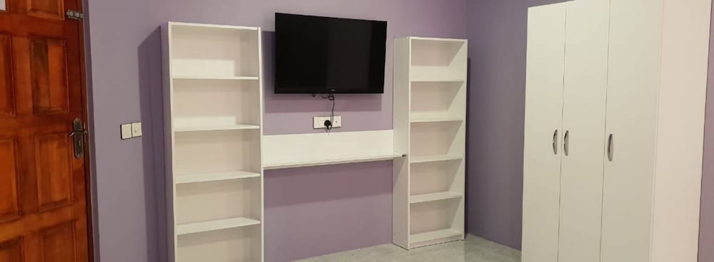 Television