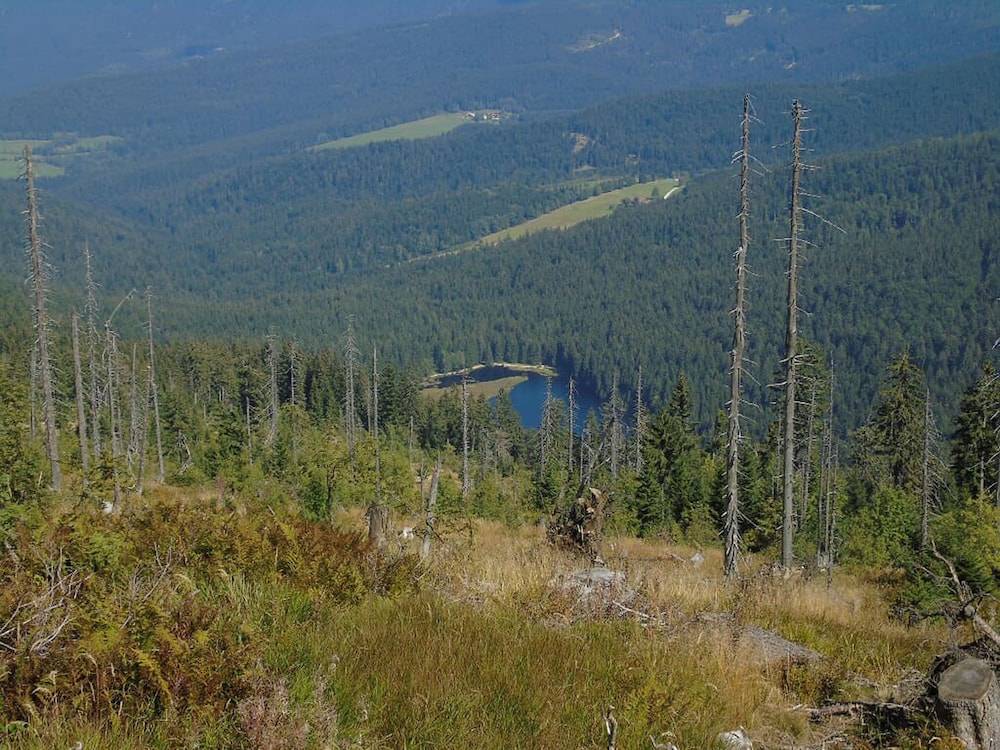 Hiking