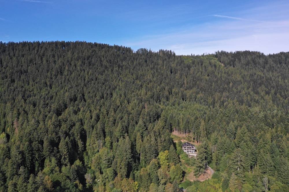 View from property