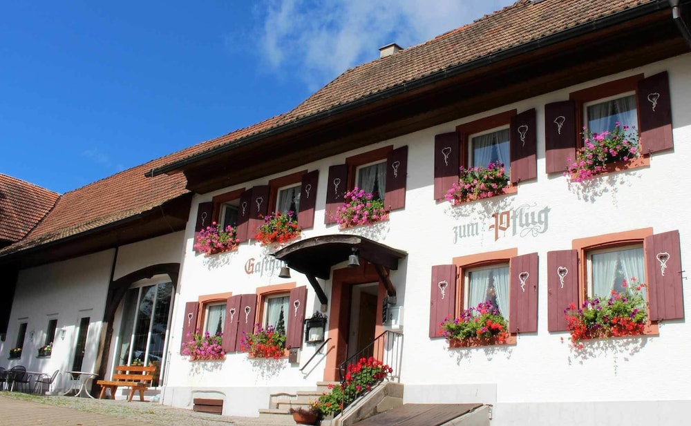 Hotel Landgasthof zum Pflug
