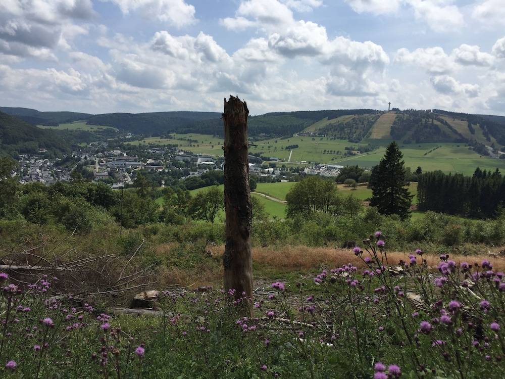 Hiking