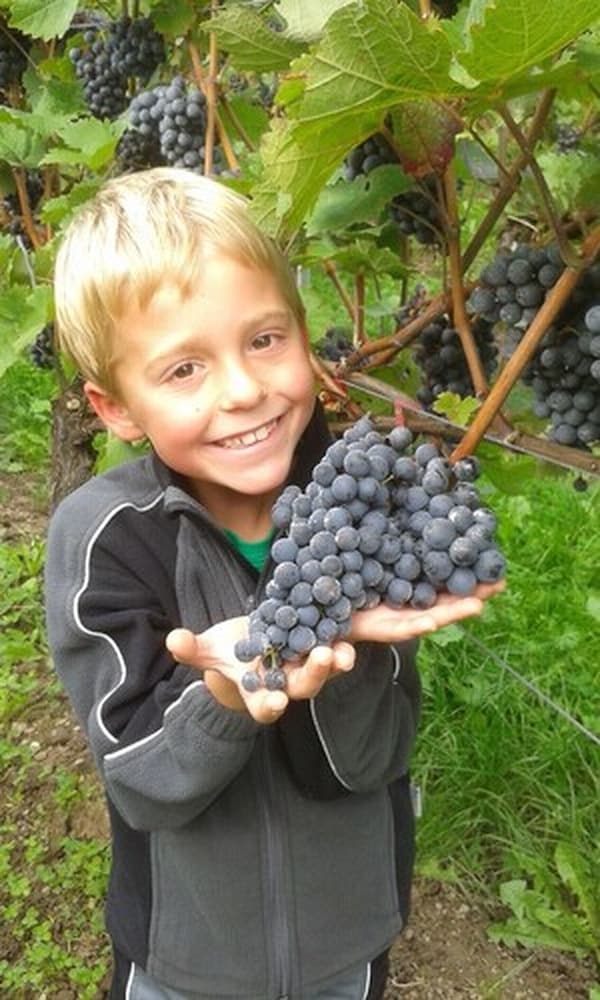 Winery